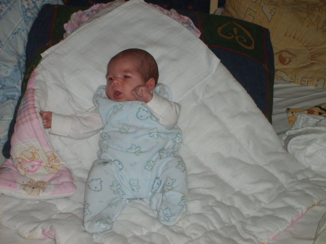S5000908.JPG
