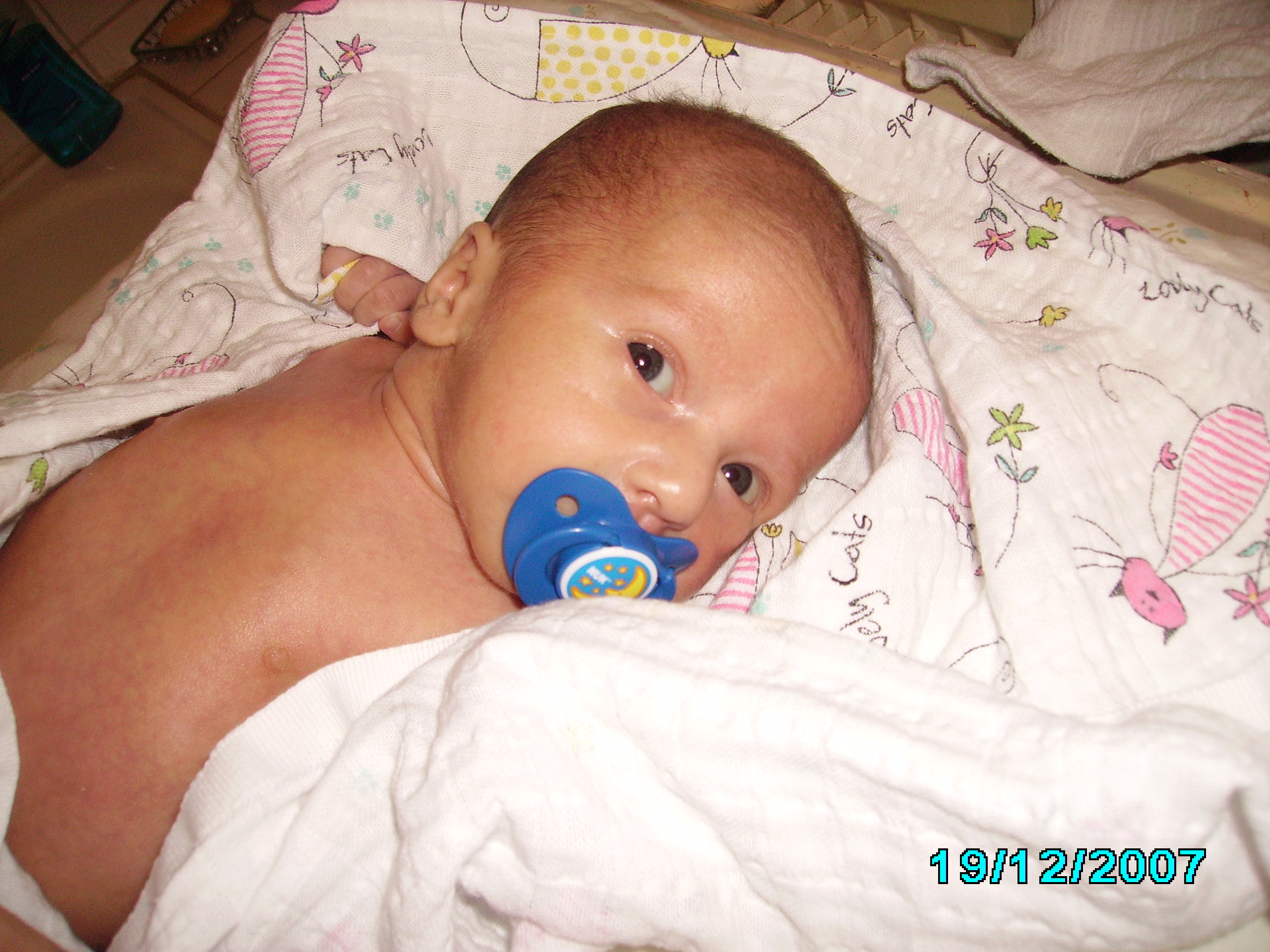 IMG_2643.JPG
